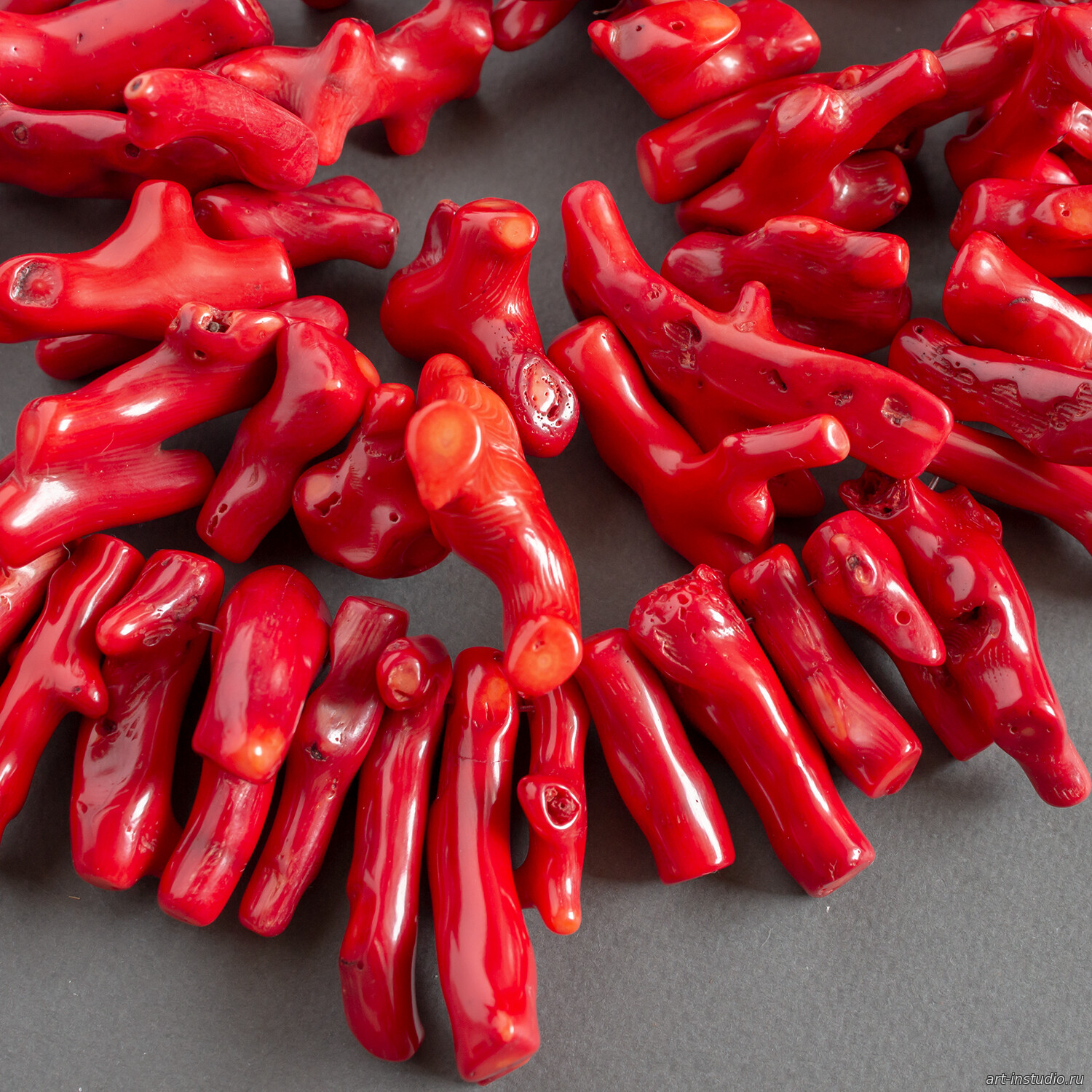 красный коралл веточки