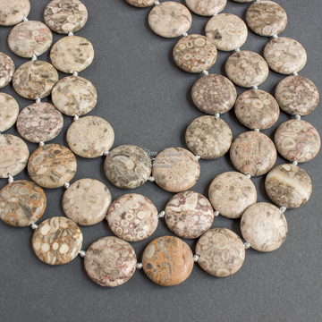 Каури окаменелые бежевые круглые плоские бусины таблетки 20 мм art:   фотография 3